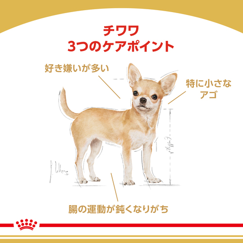 送料無料】ロイヤルカナン BHN チワワ 中・高齢犬用 1.5kg | ペットゴー