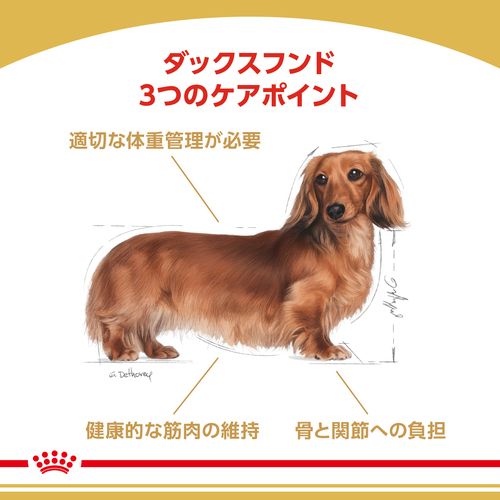 送料無料】ロイヤルカナン BHN ダックスフンド 中・高齢犬用 3kg
