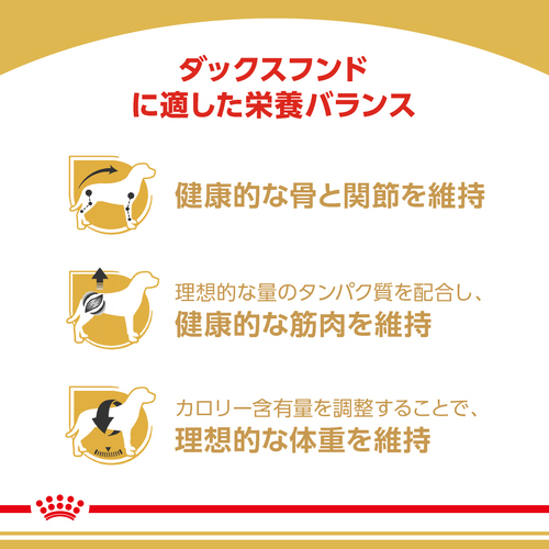 ロイヤルカナン BHN ダックスフンド 中・高齢犬用 3kg | ペットゴー