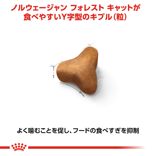送料無料】ロイヤルカナン FBN ノルウェージャンフォレストキャット 成