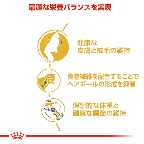 送料無料】ロイヤルカナン FBN ノルウェージャンフォレストキャット 成