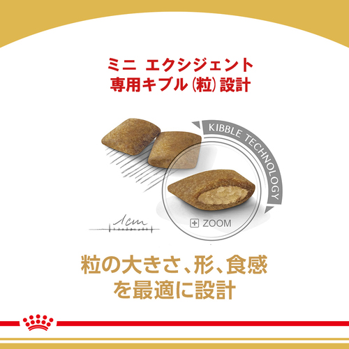 送料無料】ロイヤルカナン CCN ミニエクシジェント 食事に好き嫌いの