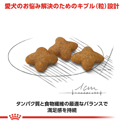 送料無料】ロイヤルカナン CCN エクストラスモールステアライズ