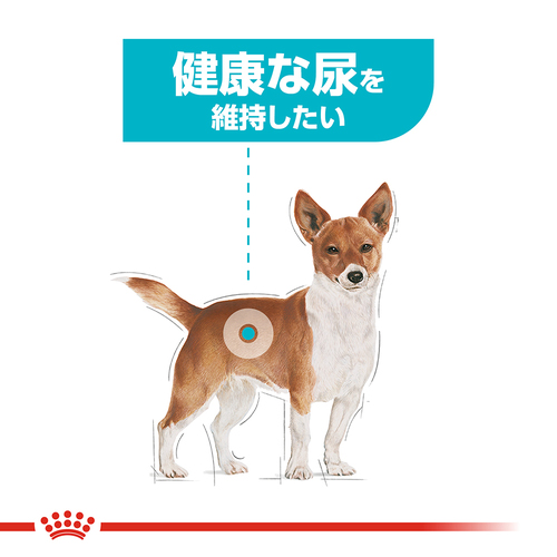 ロイヤルカナン CCN ミニユリナリーケア 健康な尿を維持したい犬用 2kg