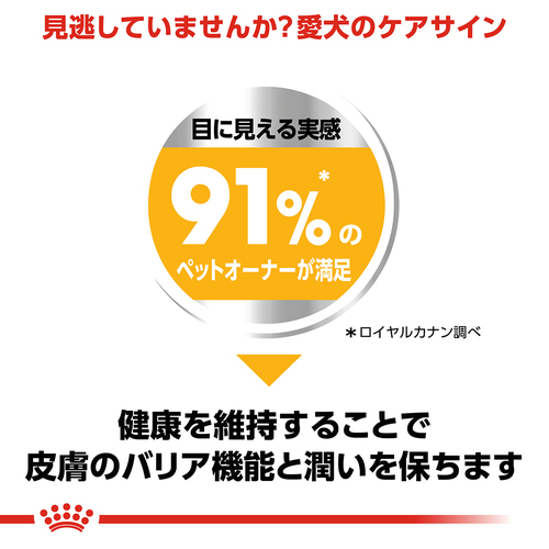 ロイヤルカナン CCN ミニダーマコンフォート 皮膚の健康を維持したい犬