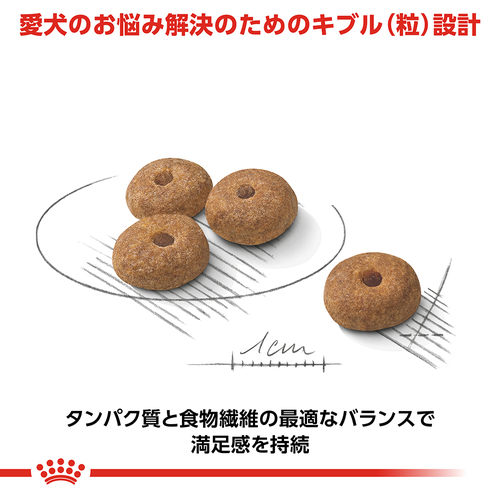 送料無料】ロイヤルカナン CCN ミニステアライズド 避妊・去勢犬用 8kg