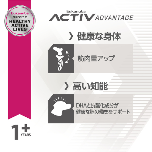 絵恋　　Eukanuba FIT BODY 2袋 絵恋様専用 Eukanuba FIT BODY 2袋