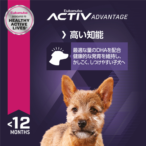Eukanuba チキン小型犬子犬用小粒ドッグフード 15kg Eukanuba チキン小型犬成犬用ドッグフード 15kg 小粒 - メルカリ