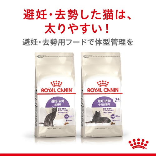送料無料】ロイヤルカナン FHN ステアライズド 4kg | ペットゴー