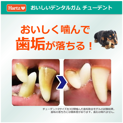 Amazon.co.jp: ハーツ (Hartz) 犬用おやつ 7歳からのチュー