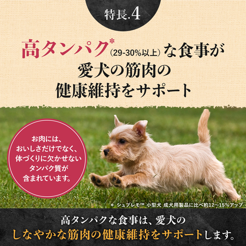 ニュートロ シュプレモ 超小型犬～小型犬用 成犬用 プレミアム