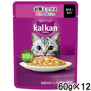 ベッツソリューション 食事療法食 猫用 胃腸サポート 2kg | ペットゴー