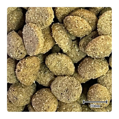 スペシフィック 犬用 CID 消化器アシスト ドライ 2kg | ペットゴー