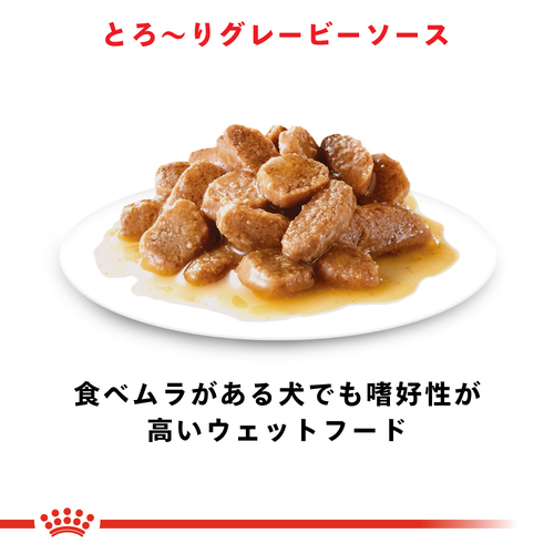 送料無料】ロイヤルカナン SHN ウェット 小型犬用 ミニアダルト 成犬用