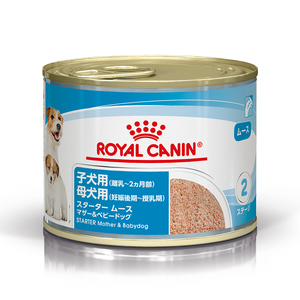 ロイヤルカナン CHN ウェット スターター ムース マザー＆ベビードッグ 195g