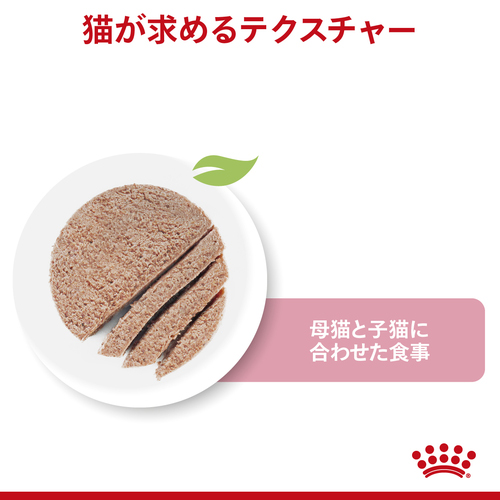 ロイヤルカナン FHN-WET マザー＆ベビーキャット 100g | ペットゴー