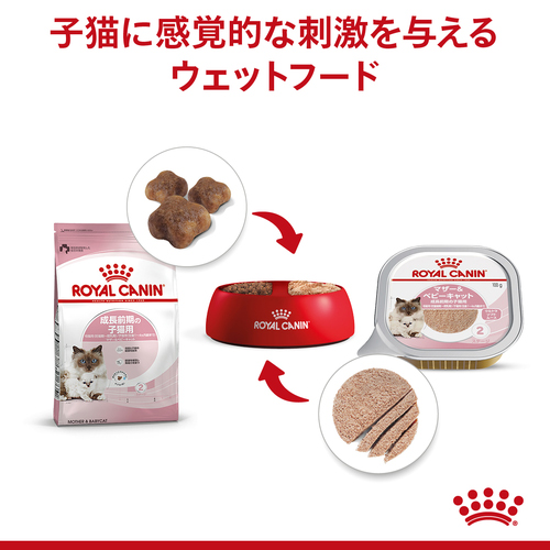 ロイヤルカナン FHN-WET マザー&ベビーキャット 100g | ペットゴー ロイヤルカナン FHN-WET マザー&ベビーキャット 100g | ペットゴー