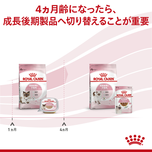 ロイヤルカナン FHN-WET マザー＆ベビーキャット 100g | ペットゴー